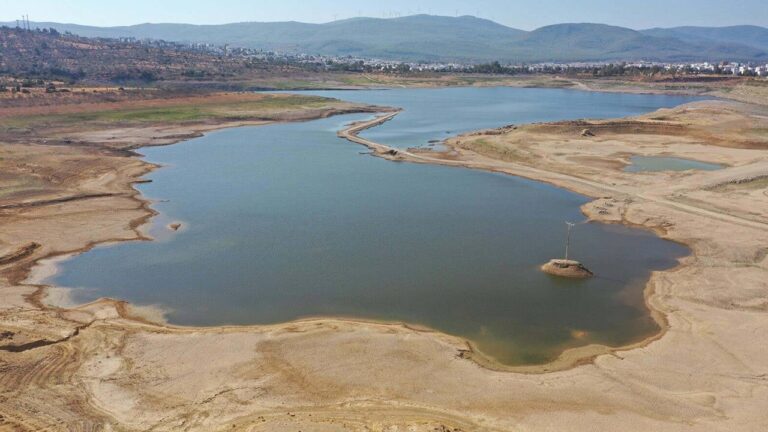 Bodrum için kuraklık uyarısı: “Çiftçilerin hazırlıklı olması gerekiyor”