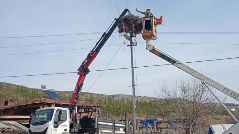 Leylekler için elektrik direklerine yapay yuvalar yerleştirildi.