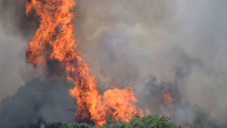 Manisa’da orman yangını: Bir bağ evi tahliye edildi