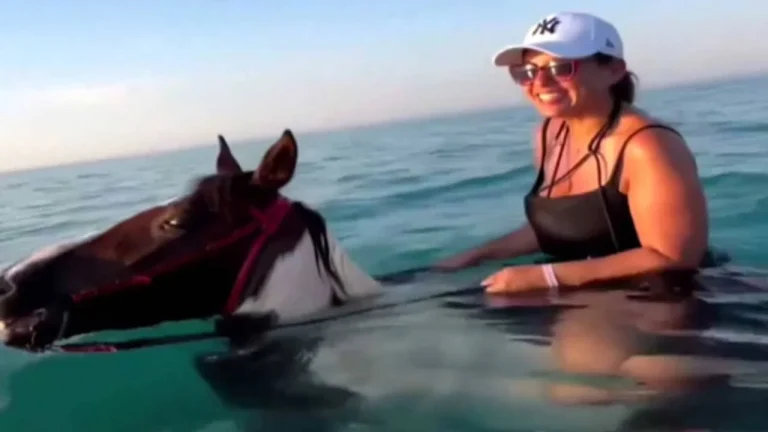 Antalya’da turizm adı altında atlara işkence: Tepki yağdı.