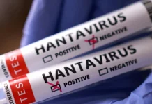 Hantavirüs vakaları neden artıyor?
