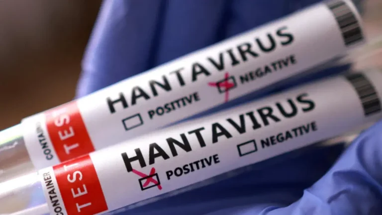 Hantavirüs vakaları neden artıyor?